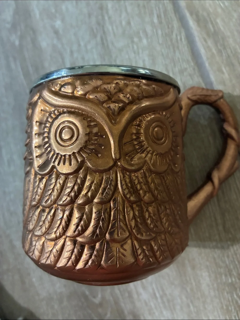 Pier 1 Copper Owl Mug with Stainless Steel Rim